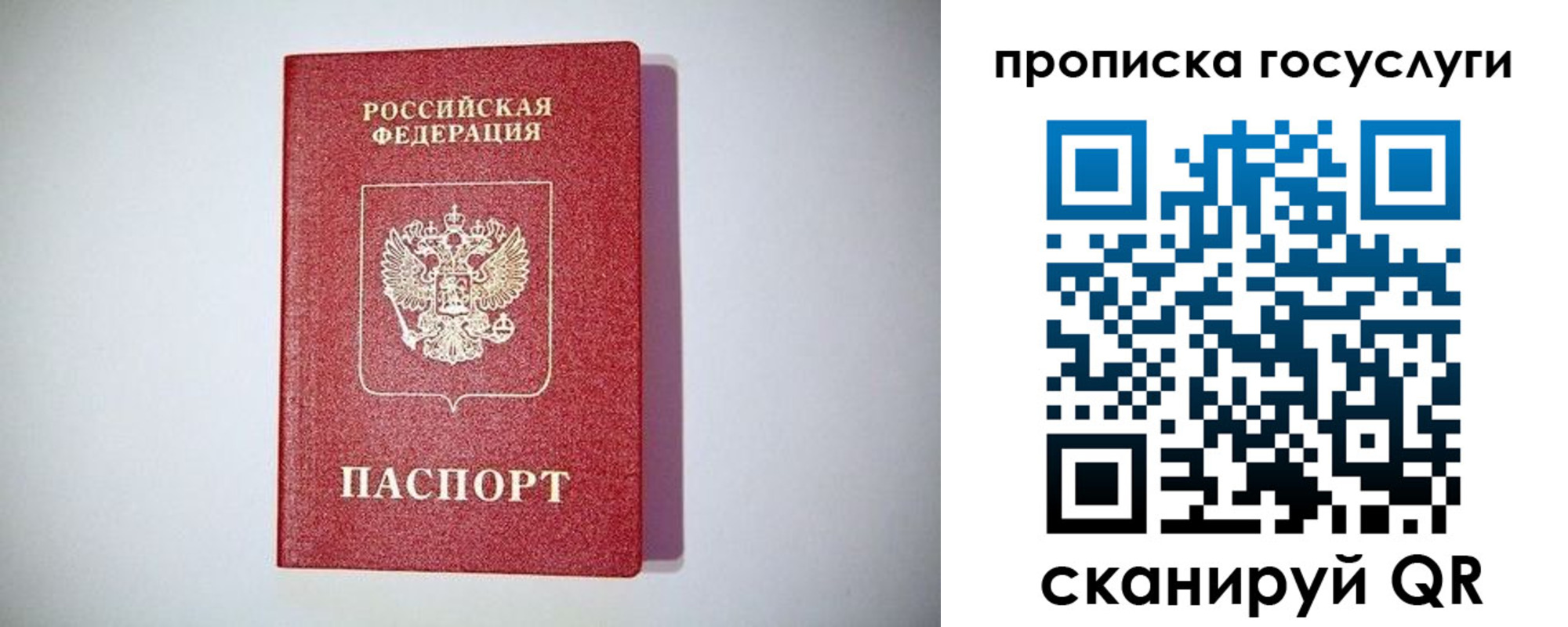 временная регистрация госуслуги в Дальнегорске
